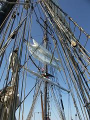 080508_Roald_Amundsen 239